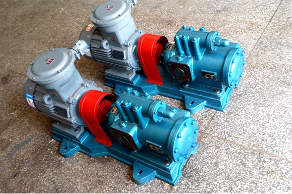 垃圾發(fā)電廠柴油點火油泵